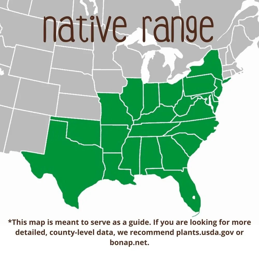Bald Cypress Range
