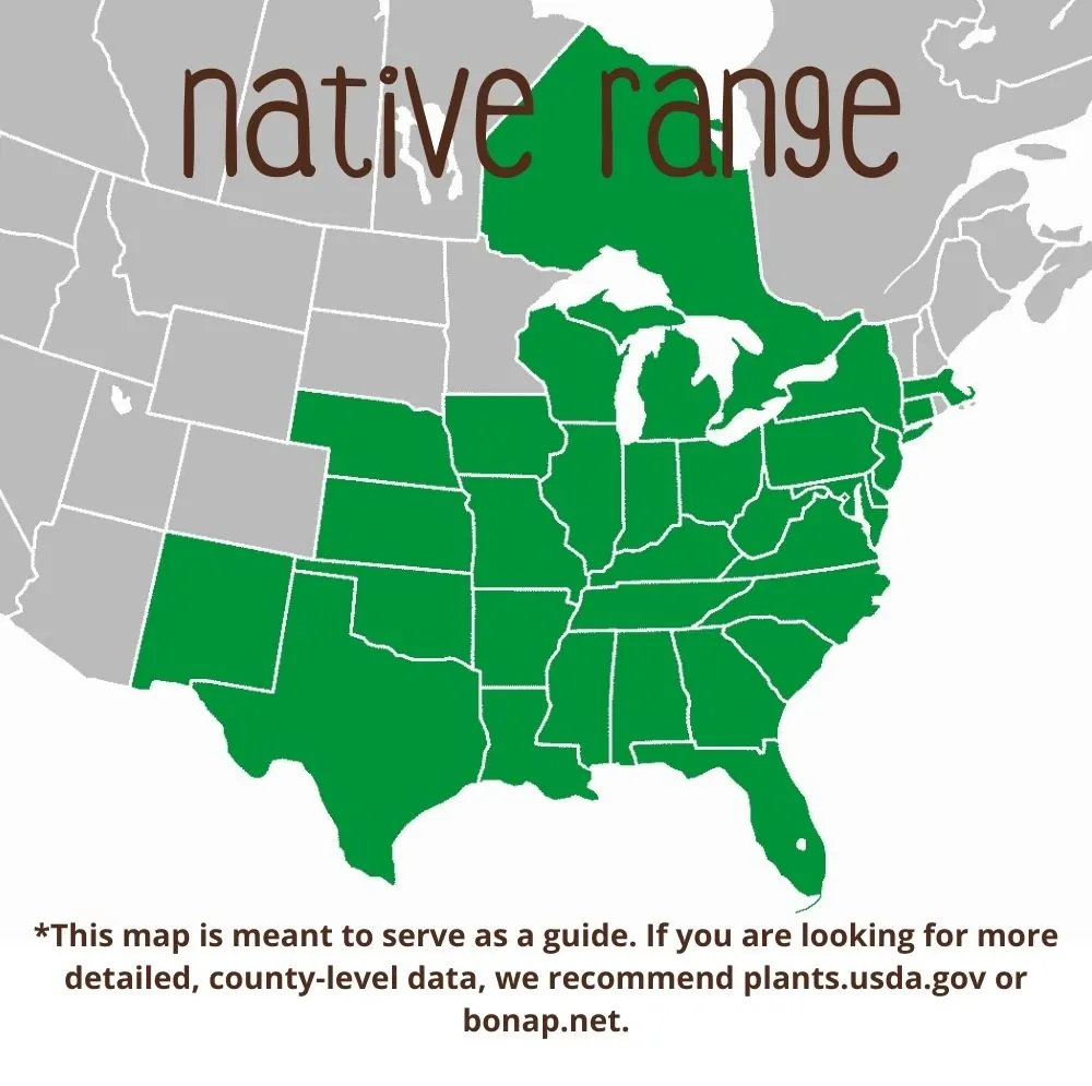 Redbud Range