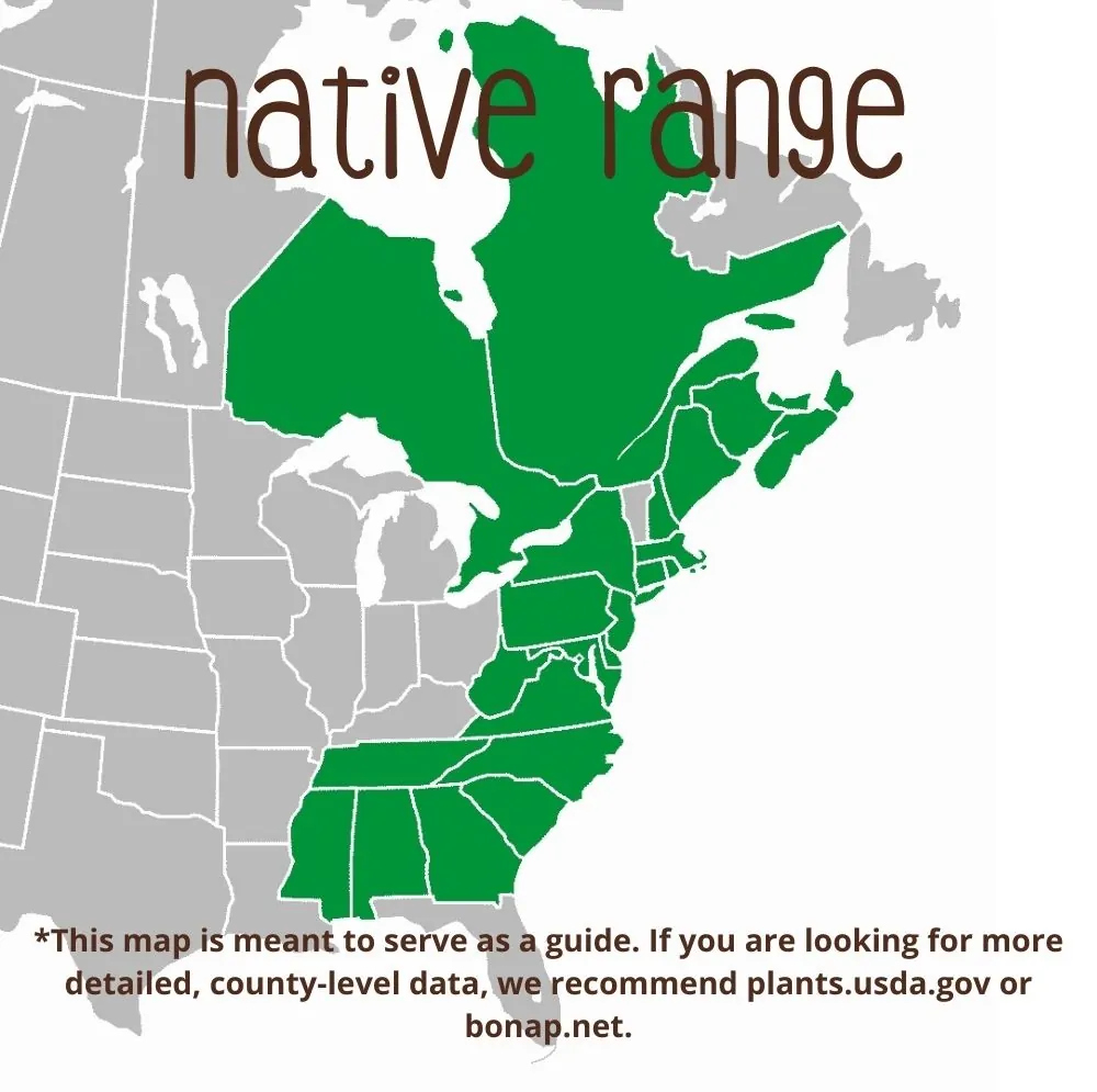Serviceberry Range