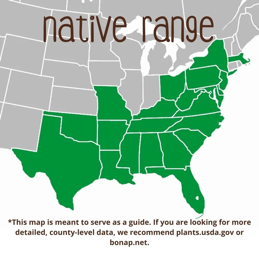 Fringe Tree Range