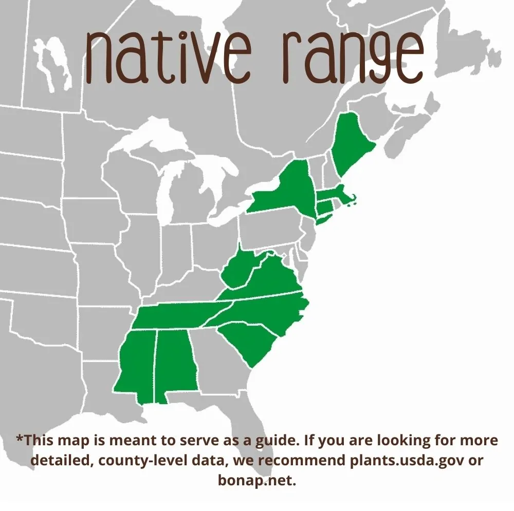 Pink Turtlehead Range map