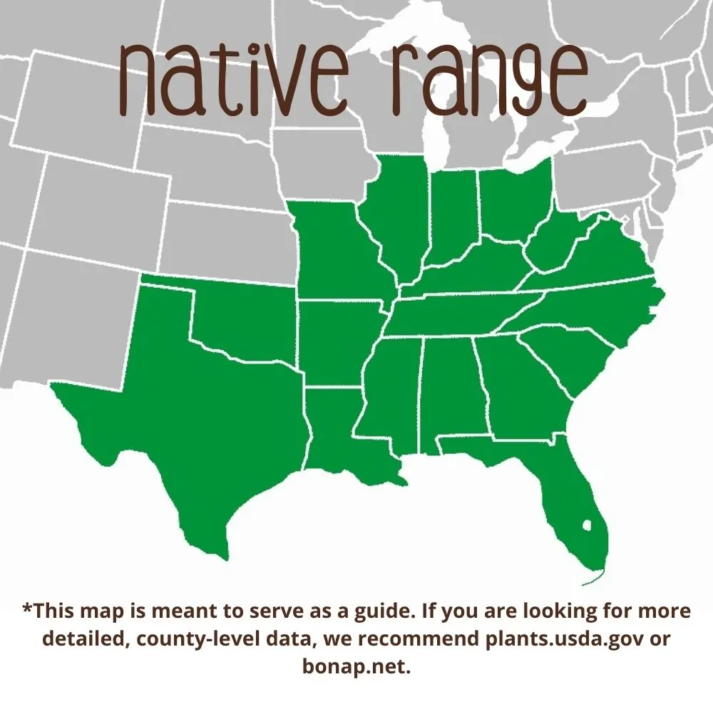 Red Buckeye Range