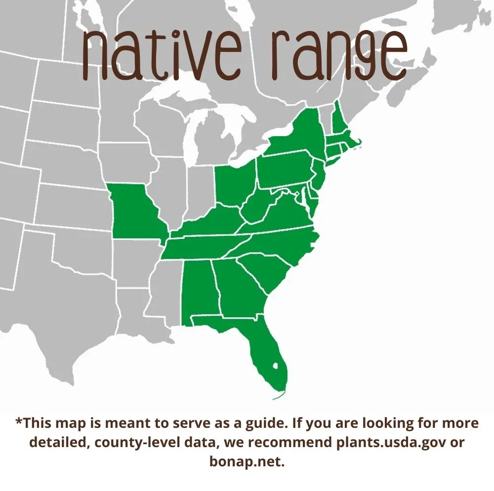 Wild Pink Range map