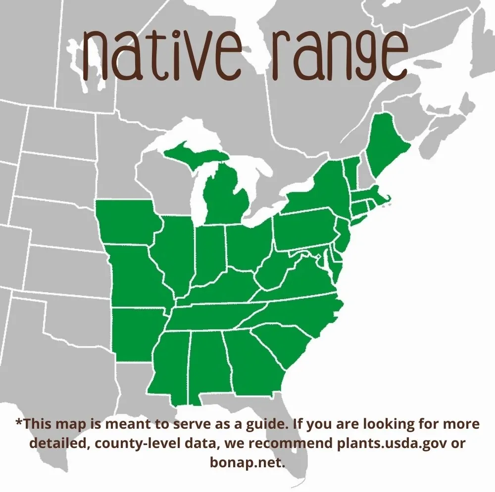 Woodland Stonecrop Range map