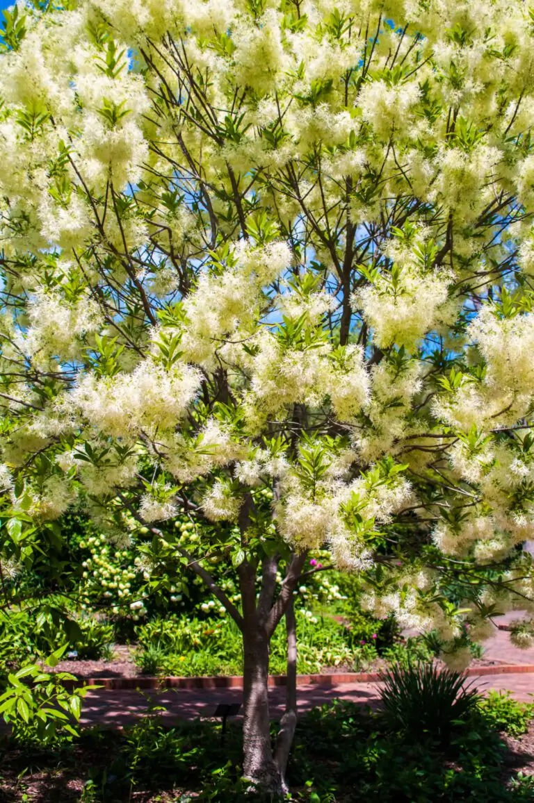 Image of dreamstime