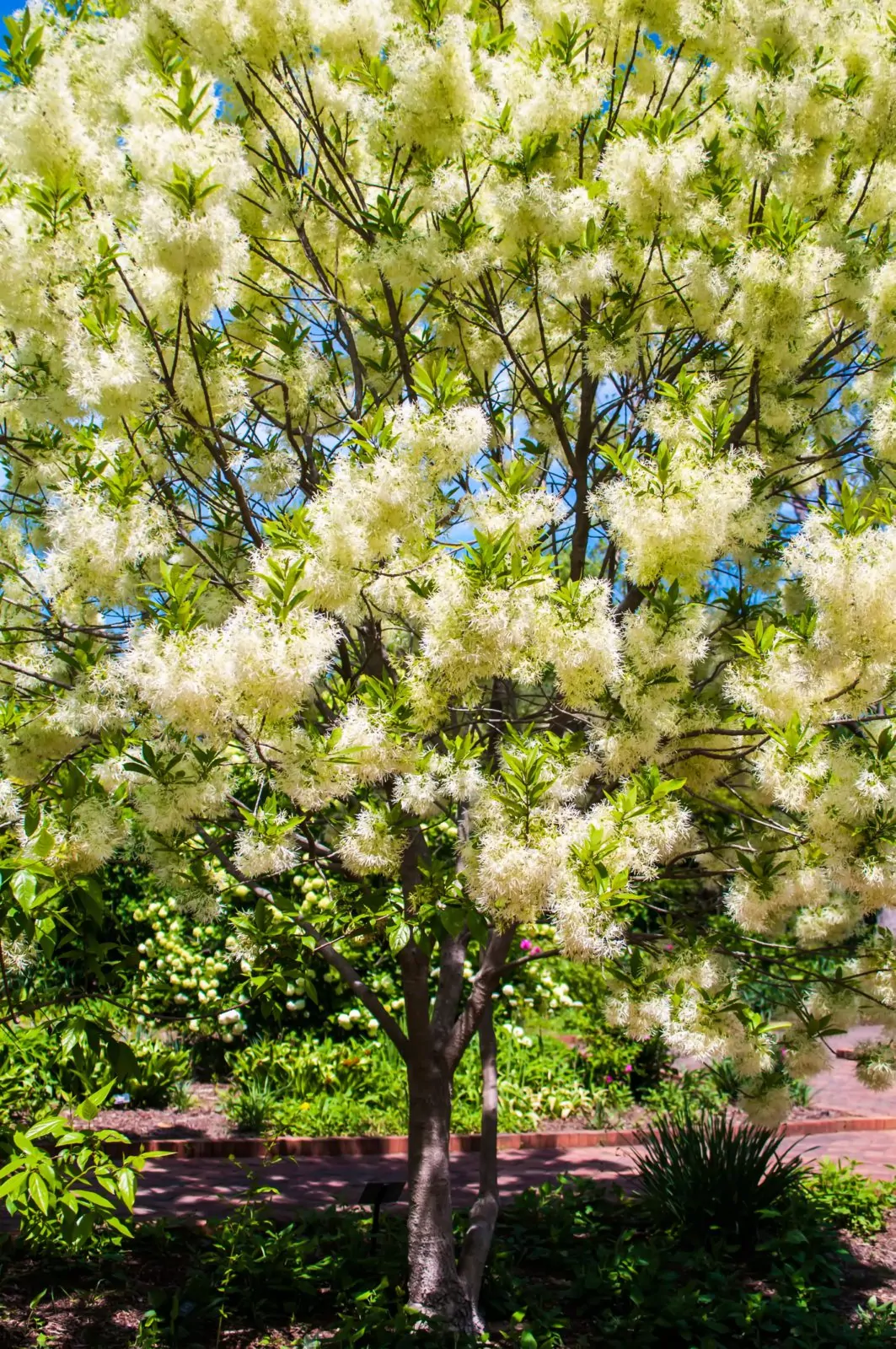 Image of dreamstime