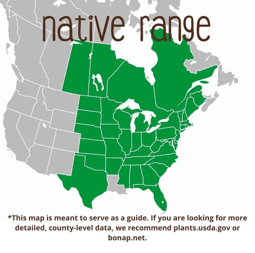 Red Columbine Range map