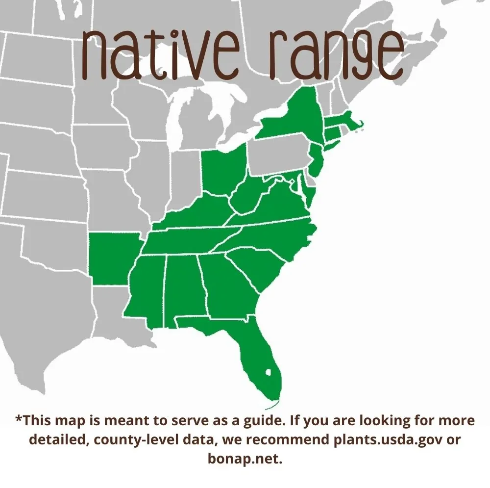 Threadleaf Coreopsis Range map