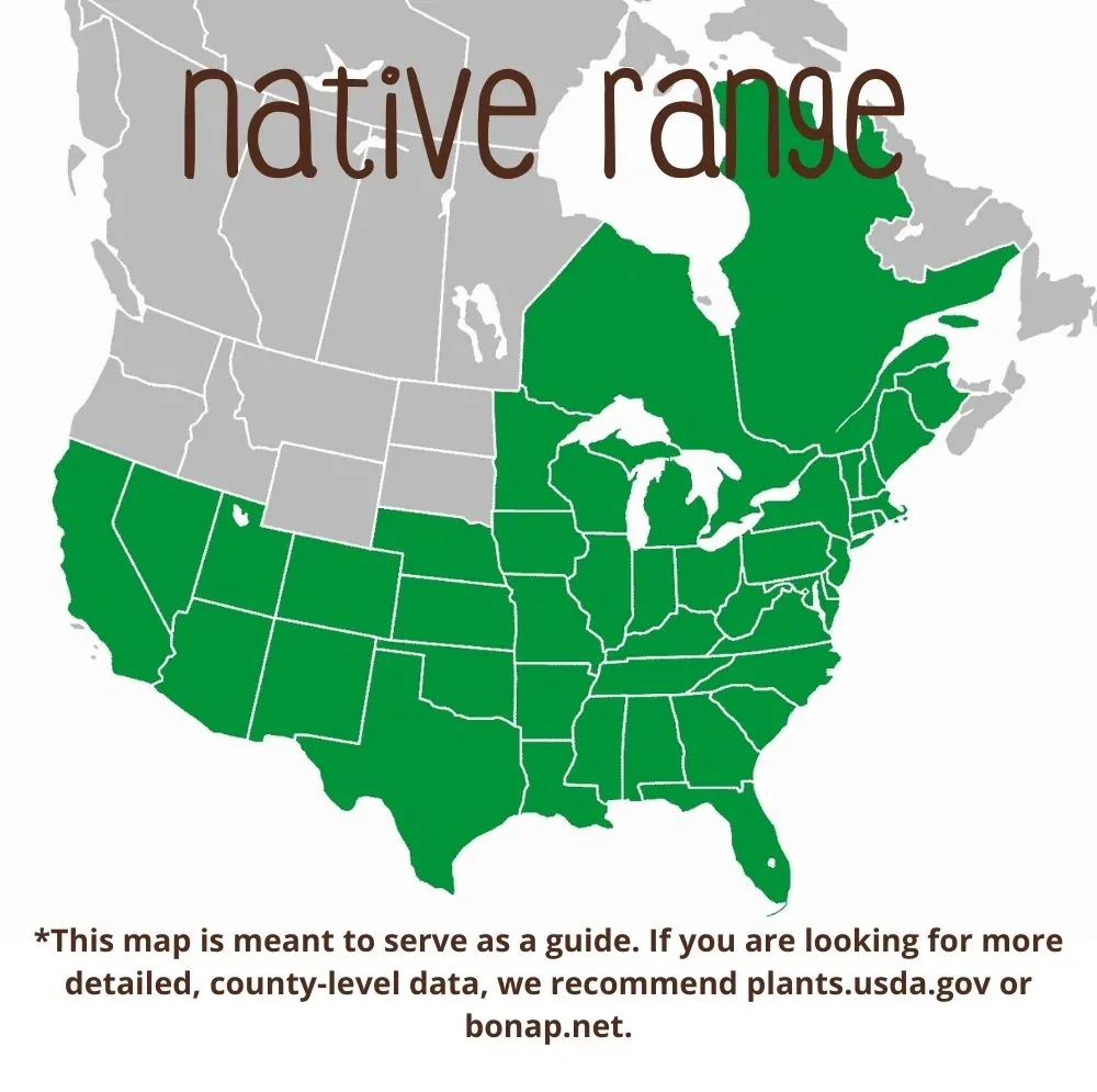 Cardinal Flower Range map