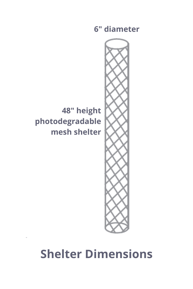 Shelter Dimensions Final