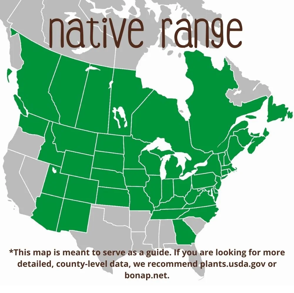 Spotted Joe Pye Weed Range map