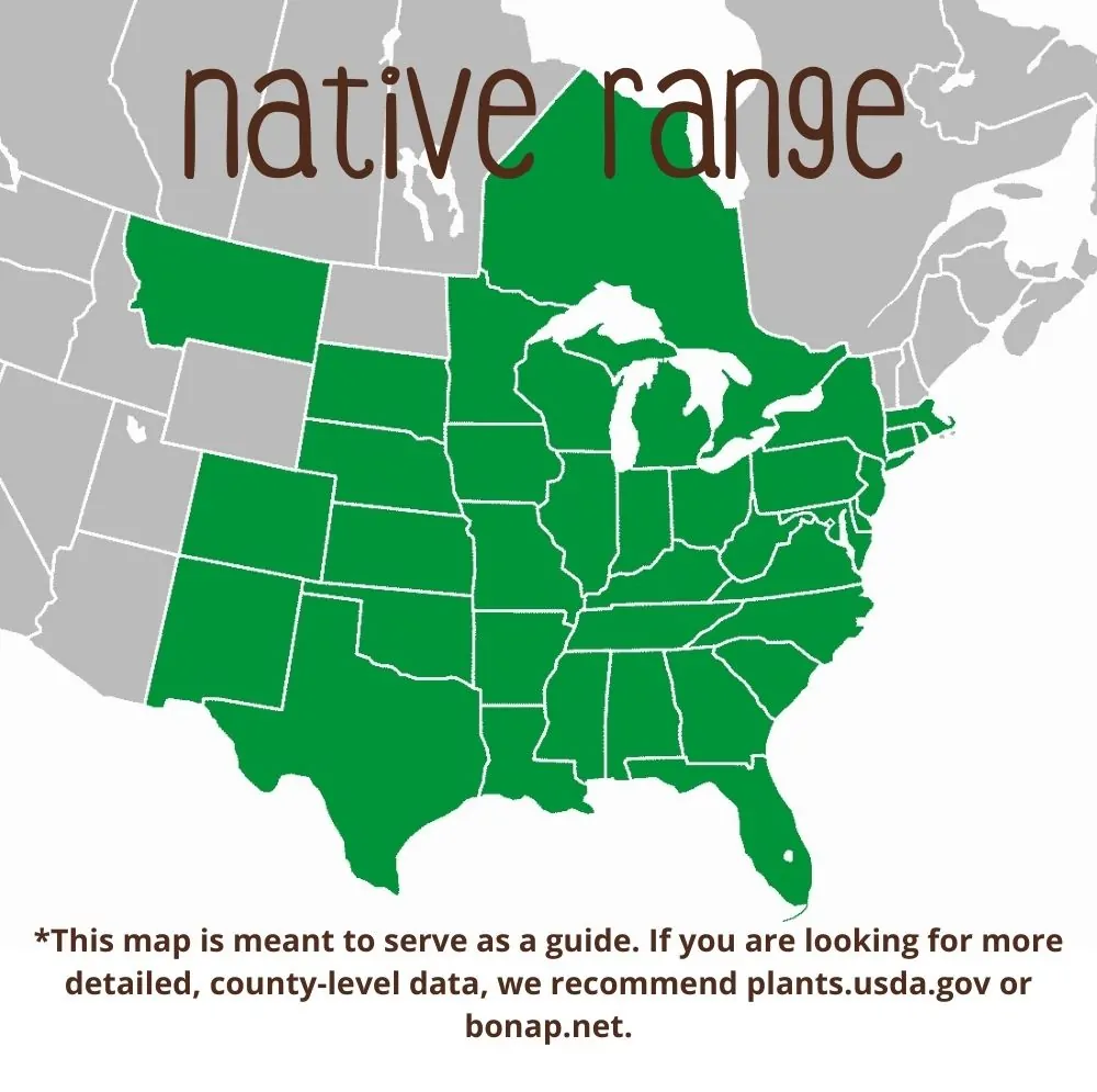 Eastern Prickly Pear Cactus Range map