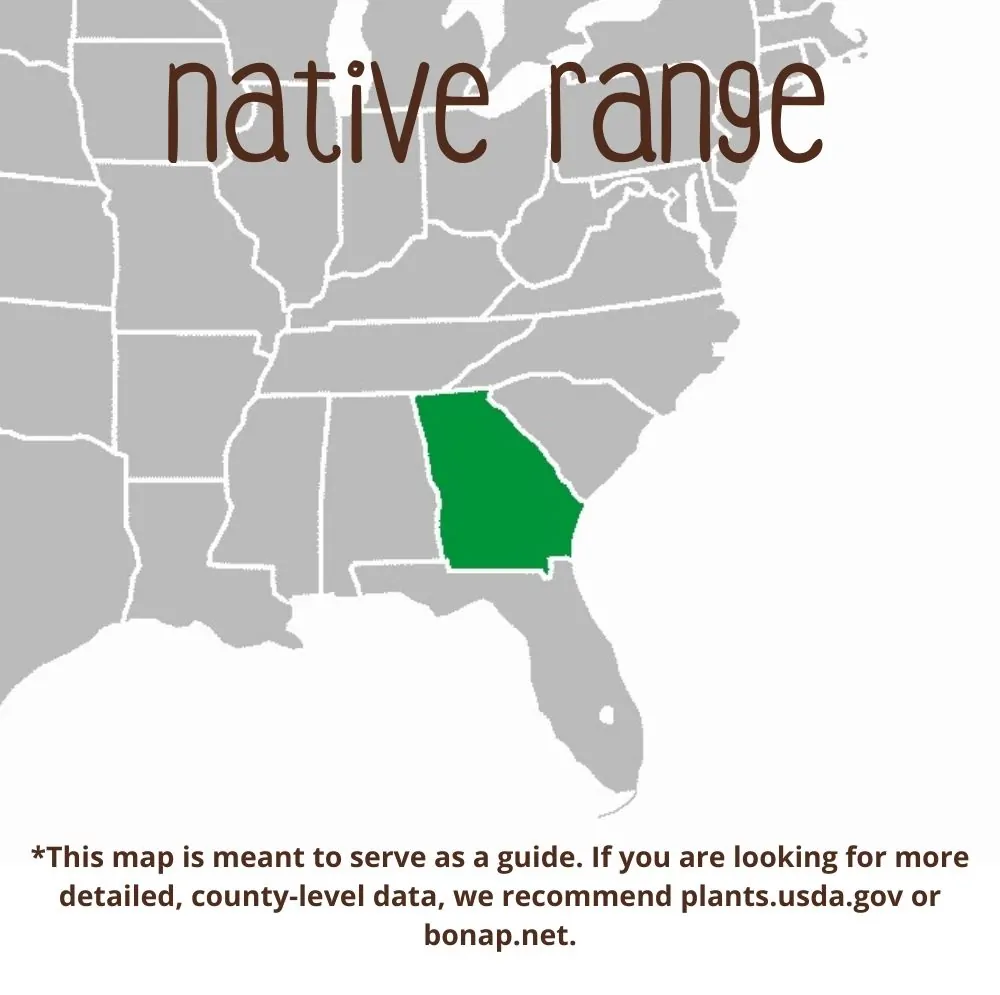 Franklin Tree Range