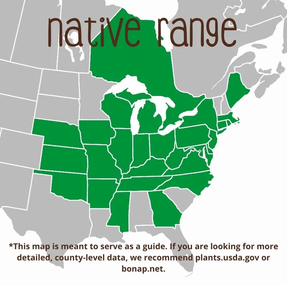 Pin Oak Range