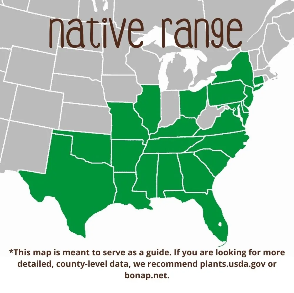 Willow Oak Range