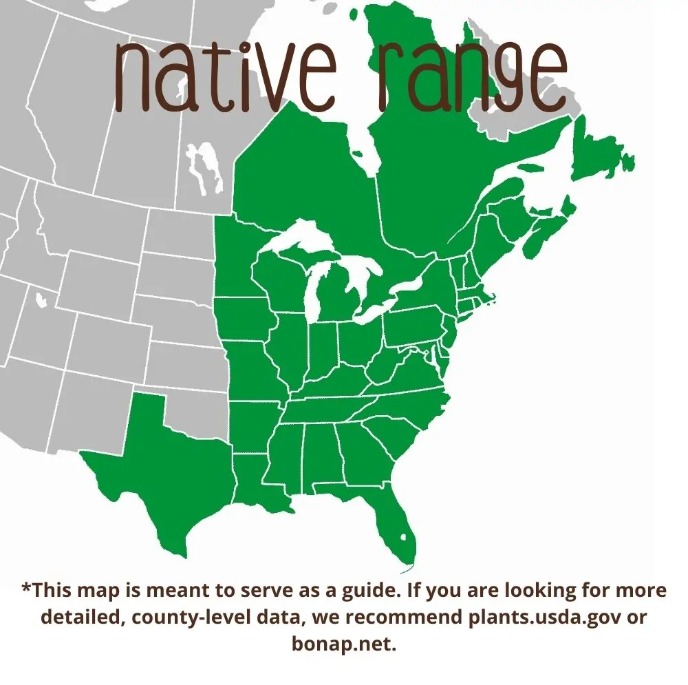 Winterberry Range