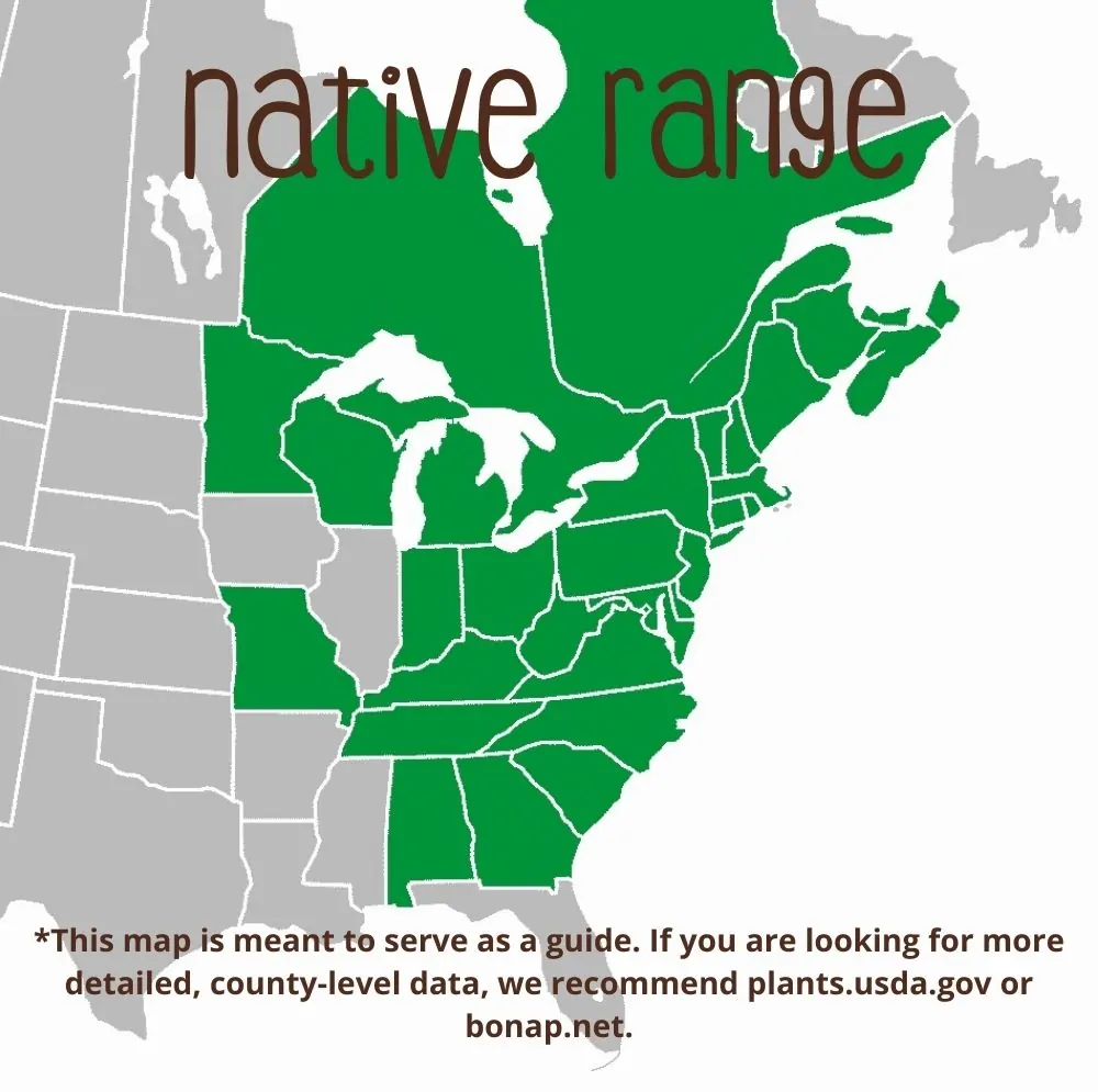 Eastern Hemlock Range