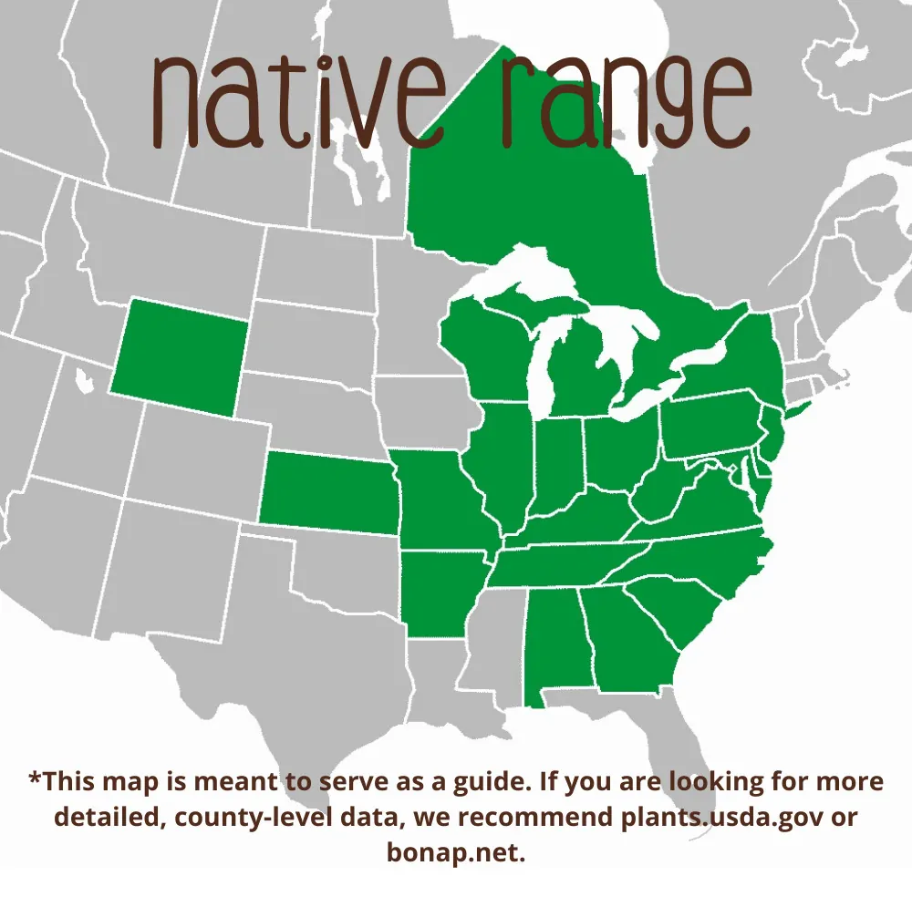 Sweet Crabapple Range