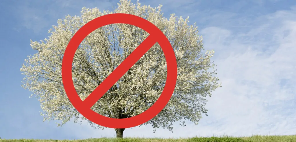Bradford Pear|1 Screen_Not_Bamboo|2 Lindera|3 Vines|4 Not_Buddleia|5 Monarch_Cycle|6 Aster_laeve|7 Shrubs_Moist_Wet|8 Paw_Paw|9 Pollinator_Garden_Dry|10 Pollinator_Garden_Wet|11 No_Burning_Bush|12 No_Barberry|13 Color_Dry_Wet|14 No_Nandina|15 No_CalleryPear|Alison_CloseUp (002)