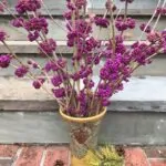 American Beautyberry branches in an arrangement
