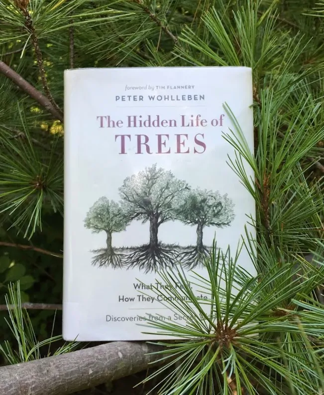 Book Review: The Hidden Life of Trees, by Peter Wohlleben