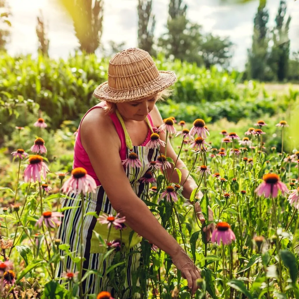 Image of a woman gardening