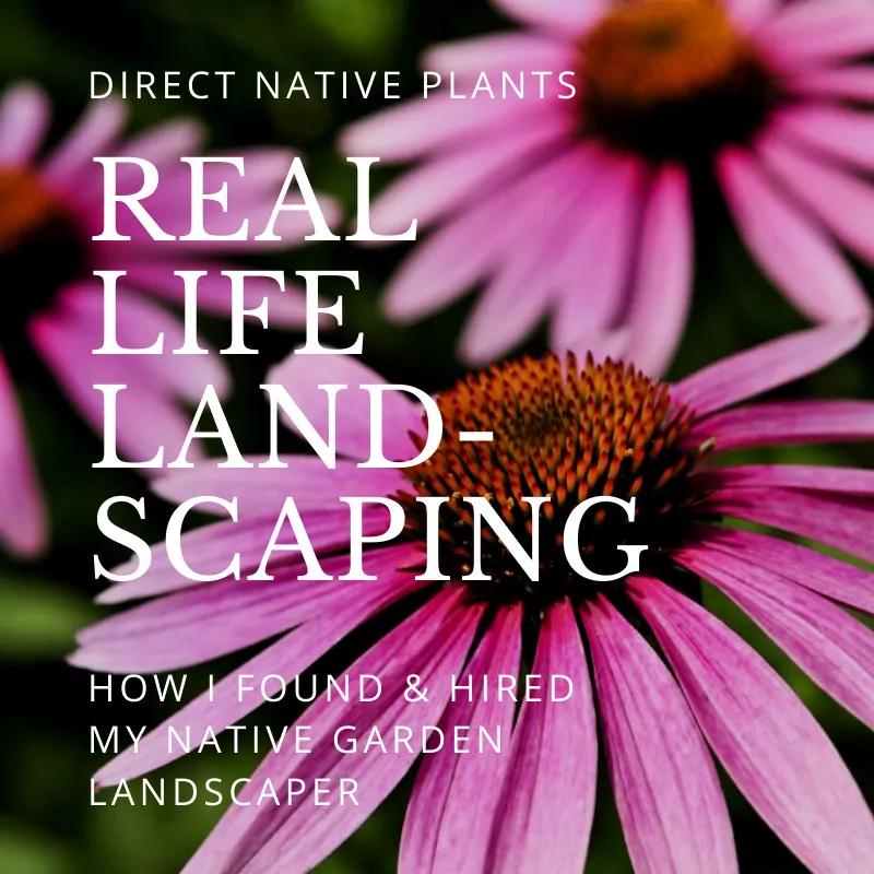Real Life Landscaping: How I Found & Hired My Native Garden Landscaper