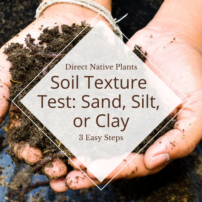 Soil Texture Test: Sand, Silt, or Clay