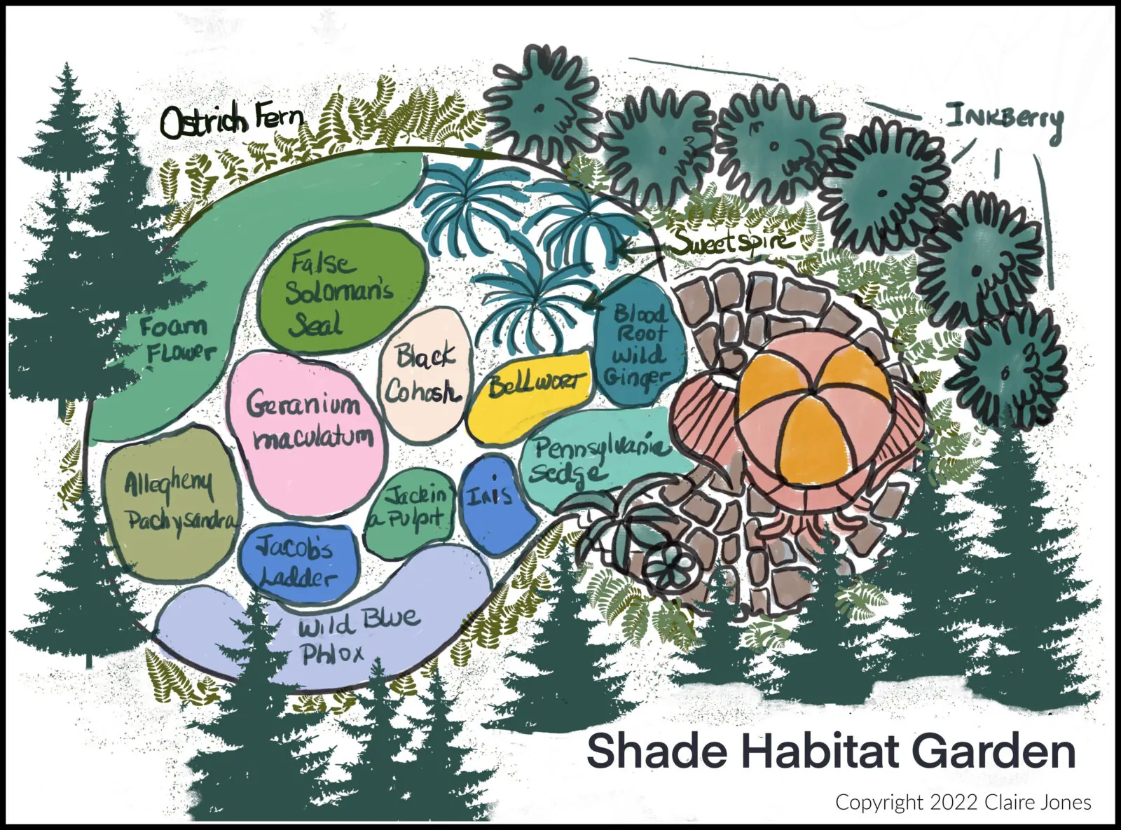 Shade Habitat Garden