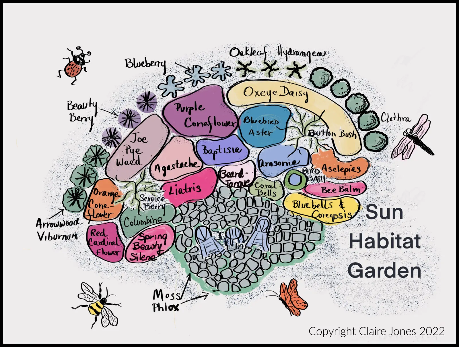 A labeled illustration of a