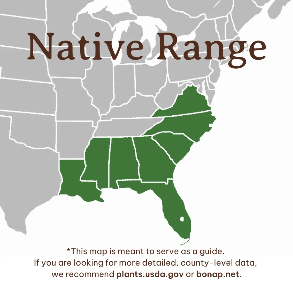 image of Fetterbush Native Range