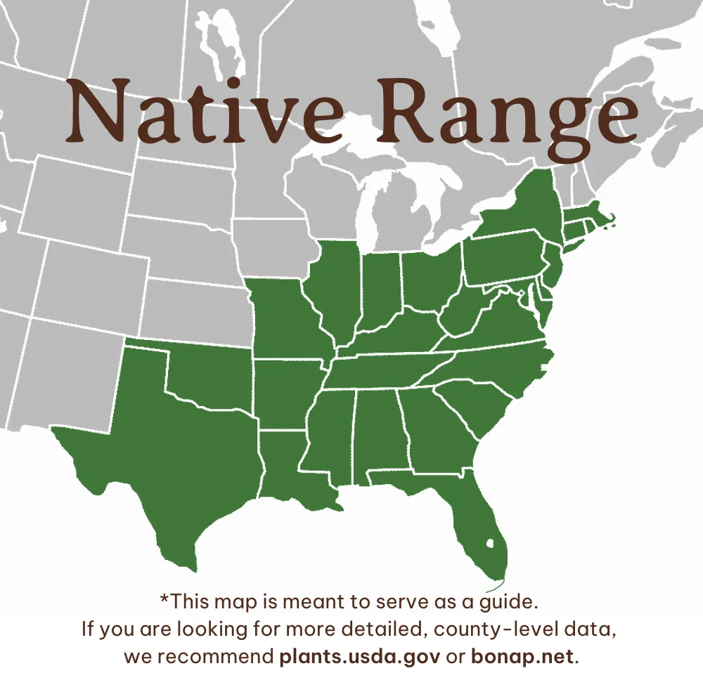 Sweet Gum Range