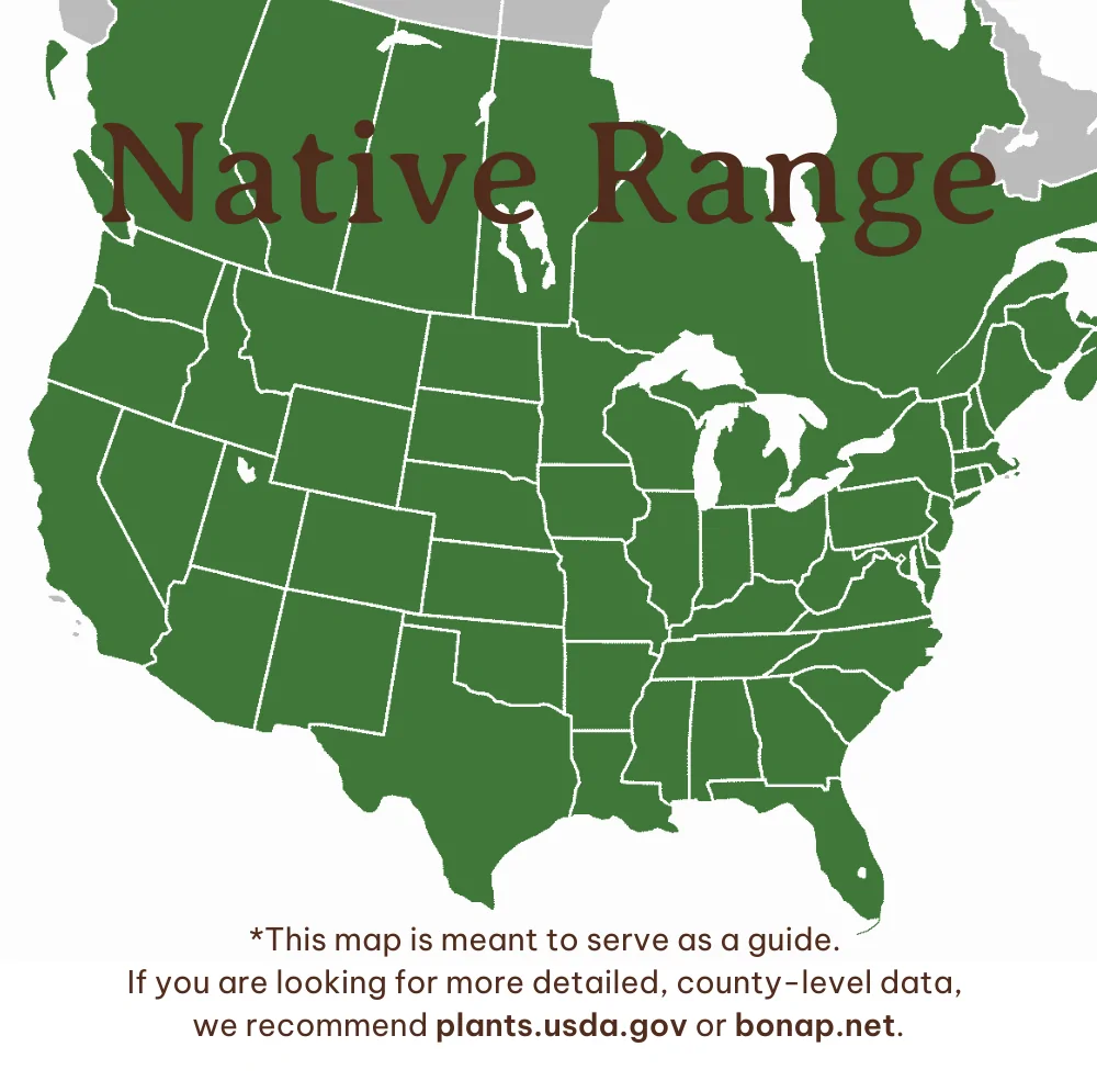 Box Elder Range