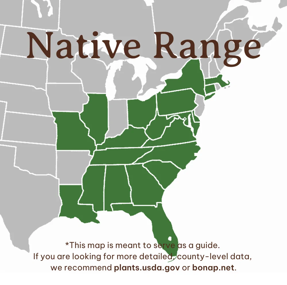 Eastern Sweetshrub Range