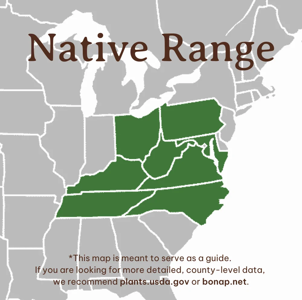 Canby's Mountain Lover Range