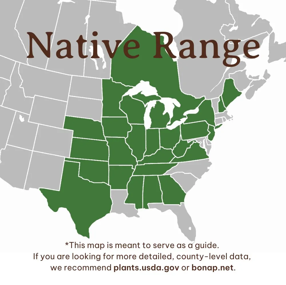 Ohio Buckeye Range