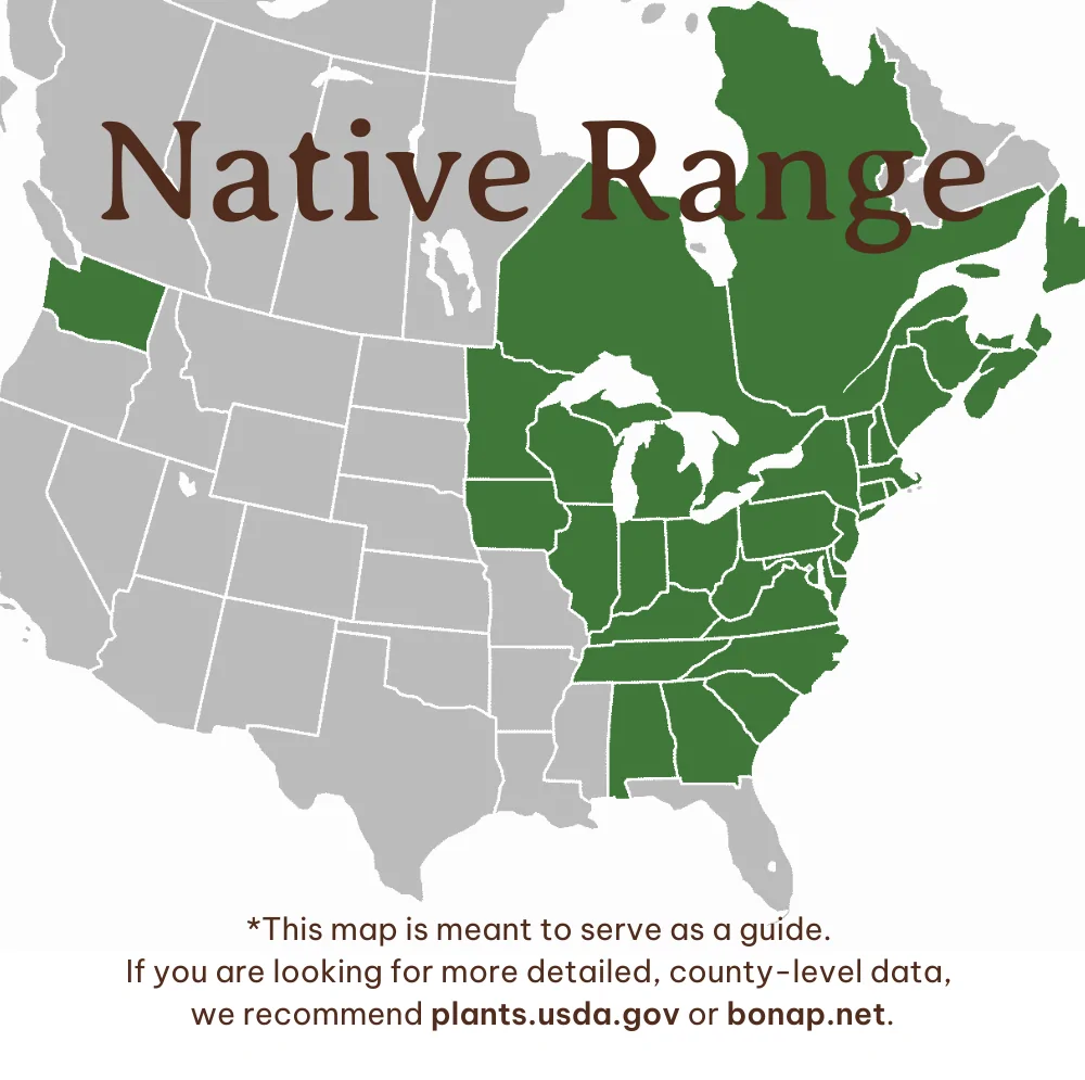 Allegheny Serviceberry Range