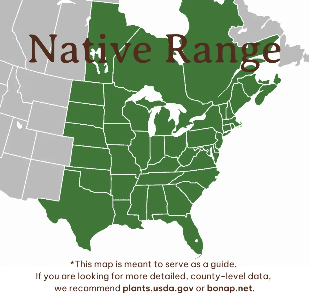 Woodbine Range