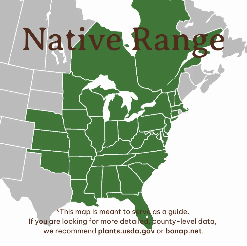 Bladdernut Range