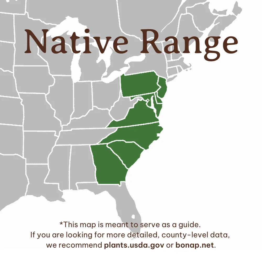 Coastal Azalea Range